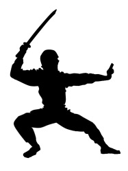 Ninja
